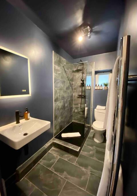 Stylish Studio For 3 Near Regents Park N4 London Kültér fotó