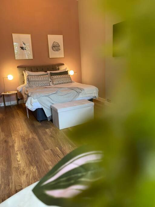 Stylish Studio For 3 Near Regents Park N4 London Kültér fotó
